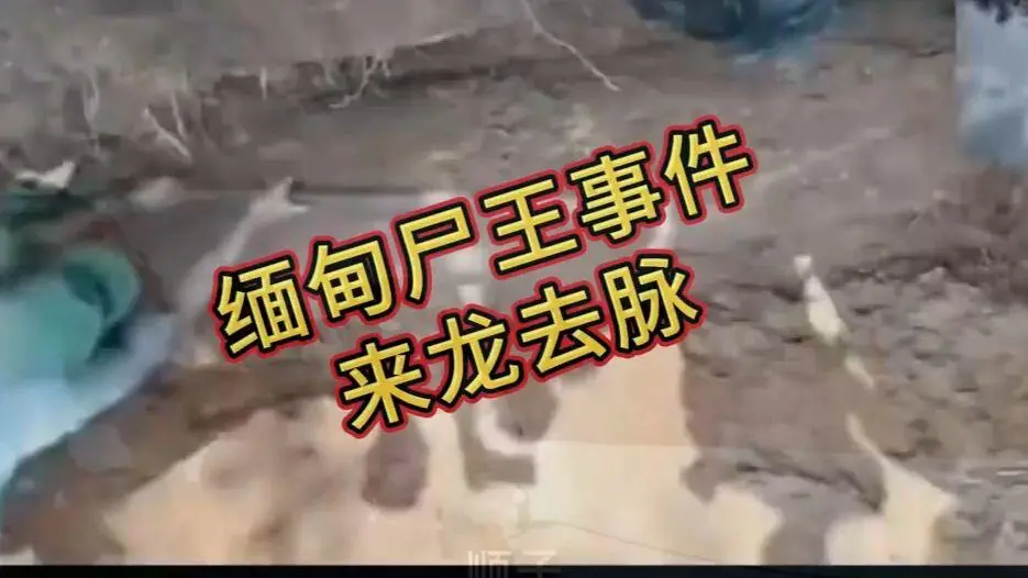 《缅甸僵尸出土事件视频》完整版资源下载 - 缅北僵尸出土事件始末原视频高清下载 - 超清未删减全程录像在线观看免费播放